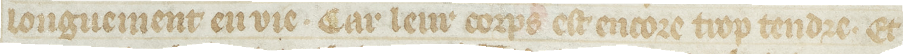Examples of good vs poor contrast in manuscript images